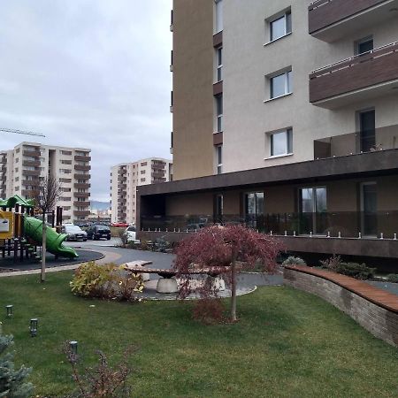 Апартаменты Casa Unchiu' Брашов Экстерьер фото
